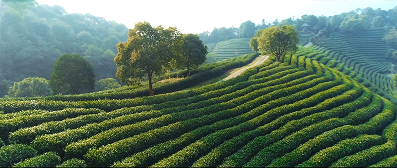 ��������̬ũҵ